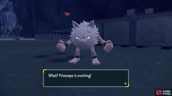The next time it Levels Up, it&rsquo;ll evolve.
