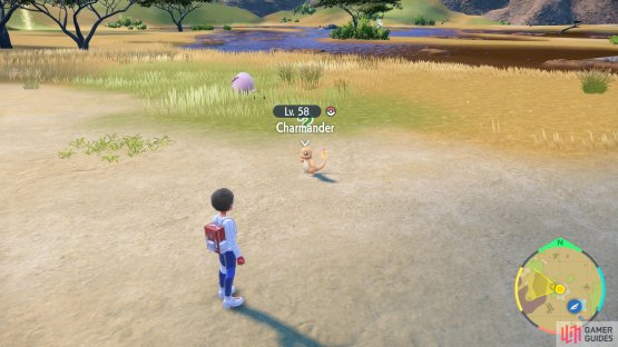 Charmander is a popular pick.