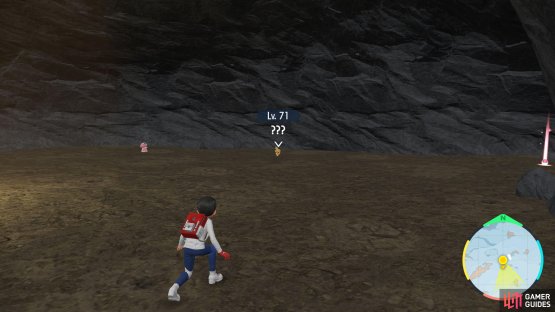 Torchic and Cyndaquil are hiding in caves.