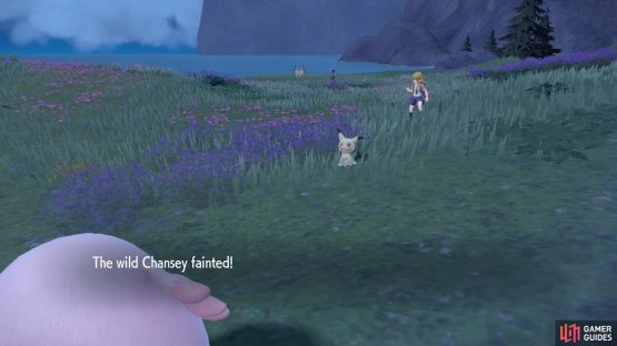 You can beat up some Chansey or other high level mons.