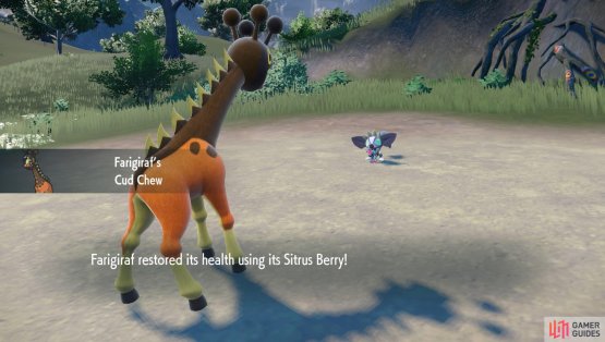 Farigiraf gets two abilities. (Credit: The Pok&eacute;mon Company)