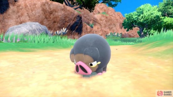 Here is Lechonk. (Credit: The Pok&eacute;mon Company)