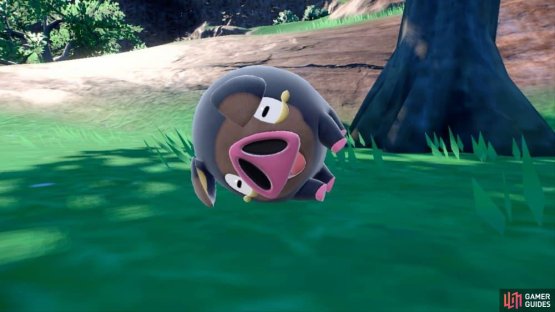 Here is another Lechonk, for good measure. (Credit: The Pok&eacute;mon Company)