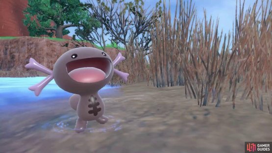 Paldean Wooper is Poison and Ground. (Credit: The Pok&eacute;mon Company)