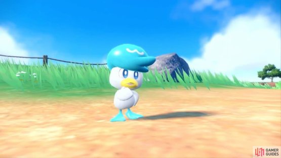 Quaxly is the quintessential Water starter. (Credit: The Pok&eacute;mon Company)