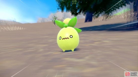 Smoliv isn&rsquo;t the fiercest creature around&hellip; (Credit: The Pok&eacute;mon Company)