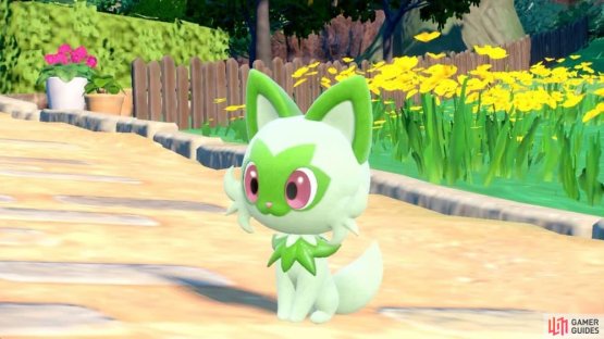 Sprigatito is the glorious Grass starter. (Credit: The Pok&eacute;mon Company)