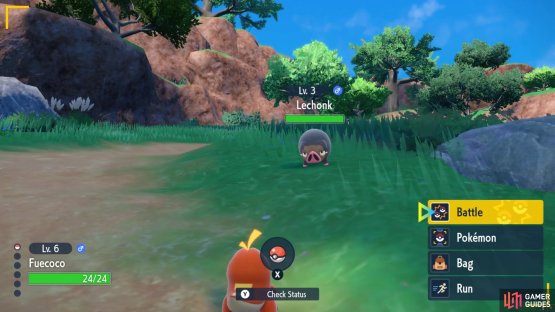 Lechonk is a common Pok&eacute;mon found here.