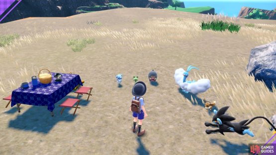 Setting up a picnic. (Credit: The Pok&eacute;mon Company)