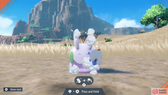 Every now and then, your Pok&eacute;mon may need a good scrub. (Credit: The Pok&eacute;mon Company)