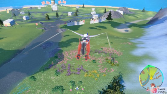 The Fairy Crew&rsquo;s base is located north from Glaseado Mountain.