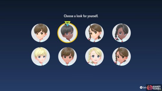 These are the preset looks.
