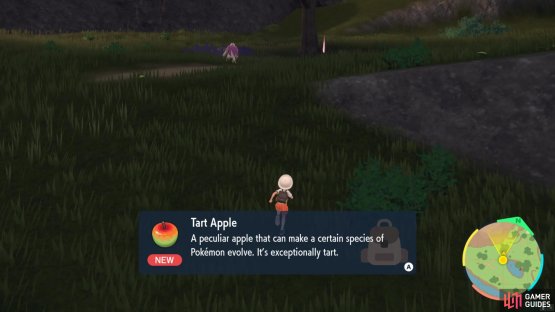 Tart Apple found in Tagtree Thicket.