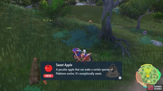 Sweet Apple found in Tagtree Thicket.