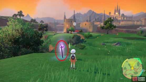 where you will find the second purple stake on the plateau facing Mesagoza.