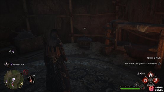 to find the Collection Chest sitting inside a tent.