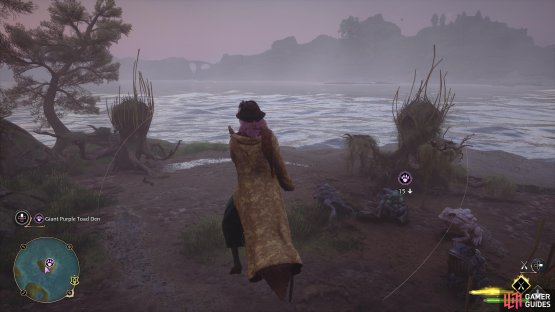 !Giant Purple Toad den in Clagmar Coast.