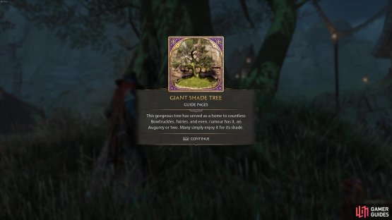 the tree has a magical past!
