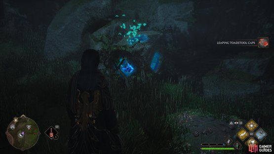 and use Lumos to bring Butterflies to the Pillars.