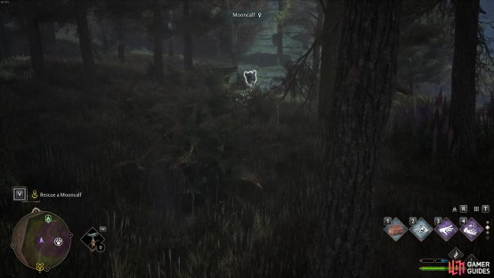try getting really close by using the disillusionment charm. 