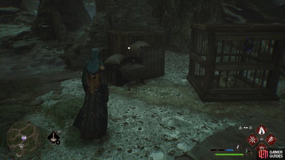 to find the Collection Chest near a cage.