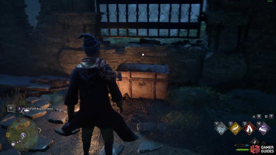 to find the Collection Chest. 