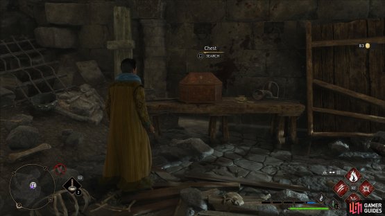 to find the Collection Chest in the dungeon.