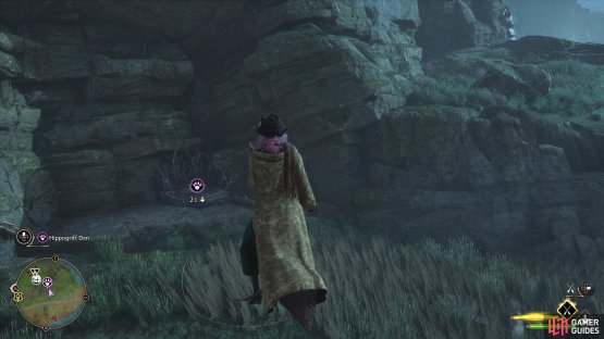 !Hippogriff den in Poidsear Coast.