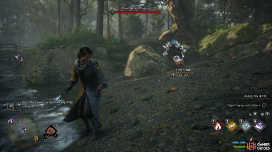 Head into the Forbidden Forest and fight appropriately levelled enemies for Hecart Assignment 2.