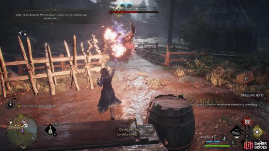 then defeat the Ashwinder Assassin and her cronies.