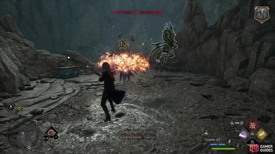 Kill a pair of spiders,