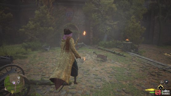 !Kneazle den in Hogwarts Valley.