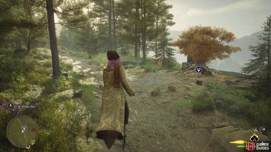 !Niffler den in Hogwarts Valley.