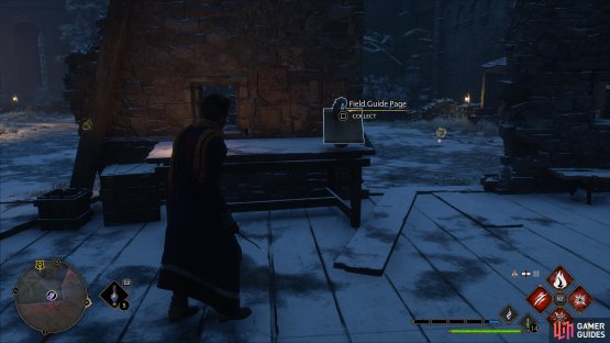 You&rsquo;ll find the page by a table in the northwest of the main courtyard.