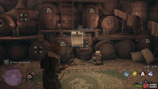 Cast Revelio in front of these magical barrels to reveal the page.