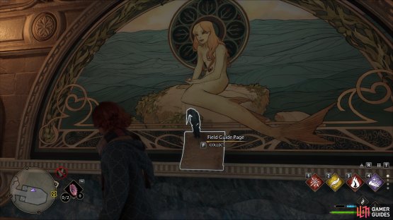 Cast Revelio in front of the mural of the mermaid to reveal the Field Guide Page.