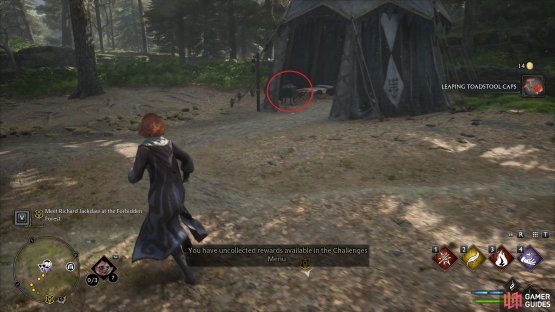 You&rsquo;ll find the chest inside this tent in the camp.