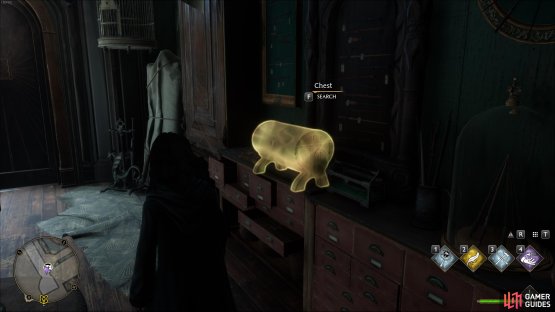 You&rsquo;ll find the Collection Chest inside the room.
