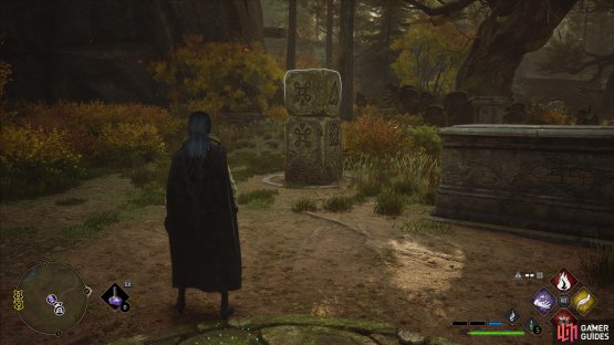 and use Flipendo on the pillars to match the symbols.