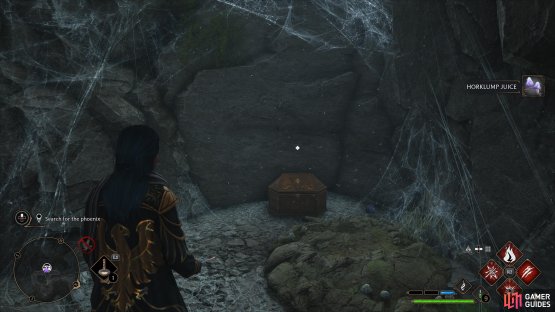 to find the Collection Chest hiding behind some rocks.