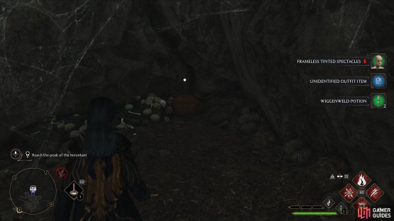 to find the Collection Chest hiding behind some webs.