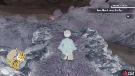 Observation Haki will become useful for discovering hidden items