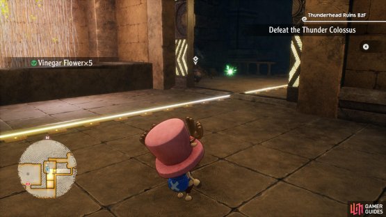 Next to the Thunderhead Ruins 2BF Northeast switch.