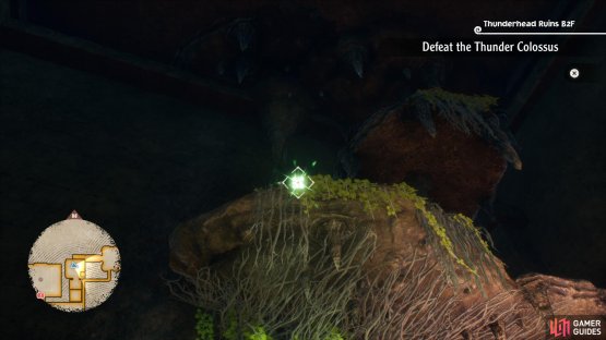 On top of the vines northeast of Thunderhead Ruins boss room.