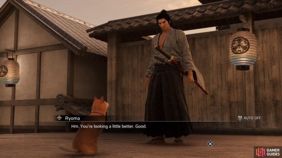 Do them to unlock their bonds, which will eventually make them your pets