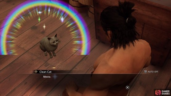 The cat will be nice and clear after every encounter