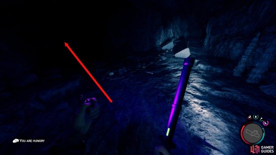 When you have the choice to take either the left or right path, choose the left.