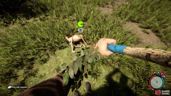 You can get hides by skinning Deer, and Moose.