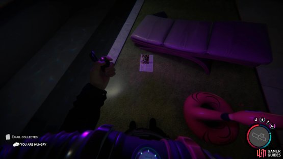 the other will be by a lounger in the swimming pools room on the second floor.