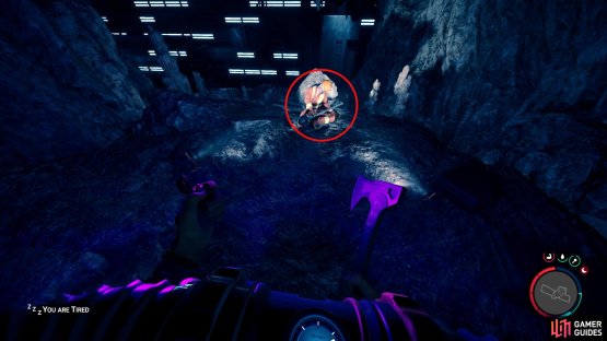 The Shovel can be found at the end of the cave.